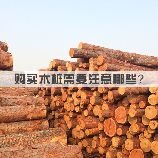 購(gòu)買木樁需要注意哪些？